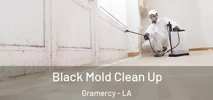  Black Mold Clean Up Gramercy - LA