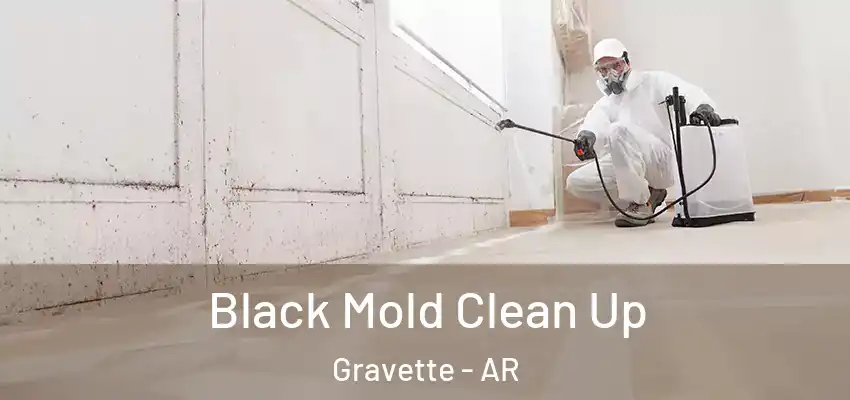  Black Mold Clean Up Gravette - AR