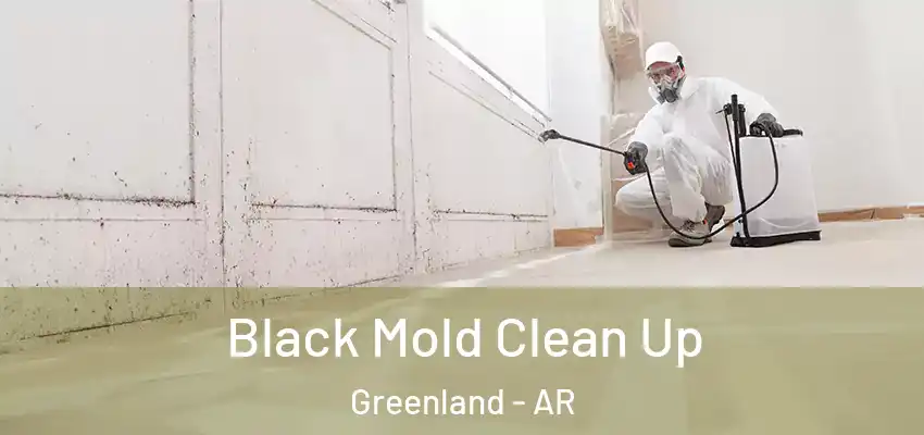  Black Mold Clean Up Greenland - AR