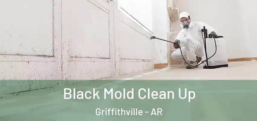  Black Mold Clean Up Griffithville - AR