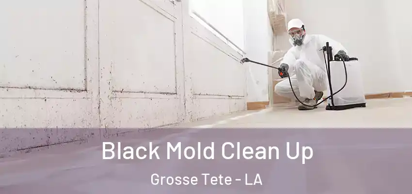  Black Mold Clean Up Grosse Tete - LA