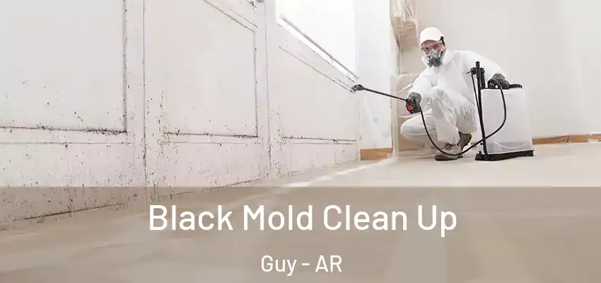  Black Mold Clean Up Guy - AR