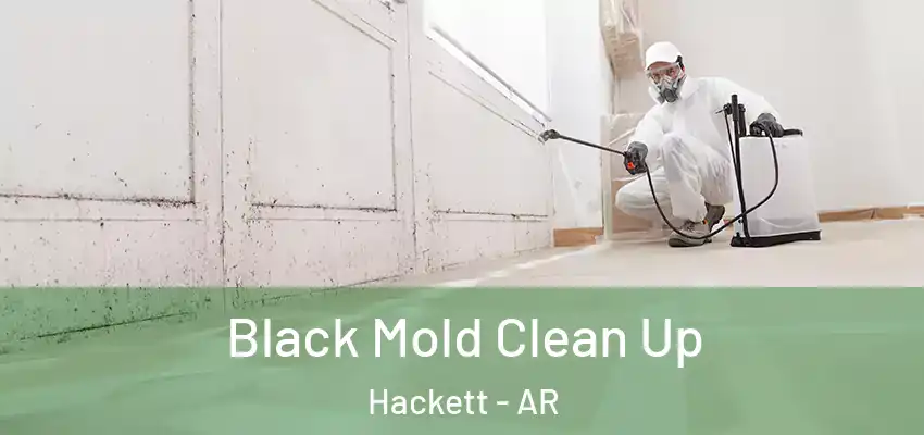  Black Mold Clean Up Hackett - AR