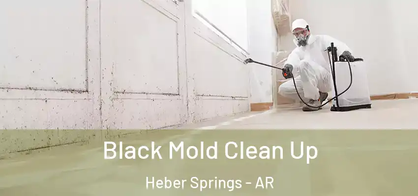  Black Mold Clean Up Heber Springs - AR