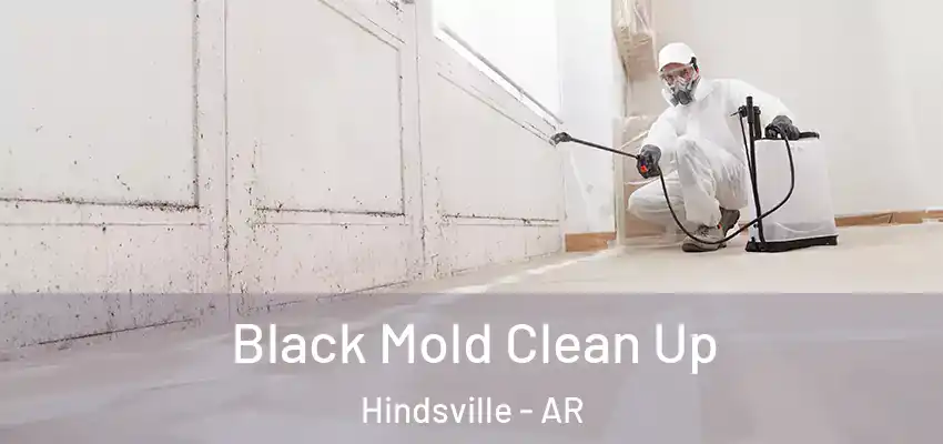 Black Mold Clean Up Hindsville - AR