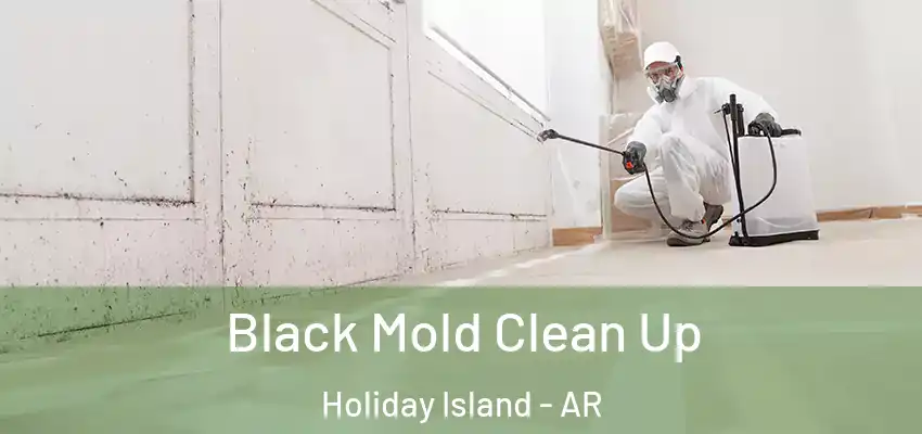  Black Mold Clean Up Holiday Island - AR