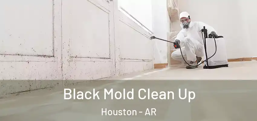  Black Mold Clean Up Houston - AR