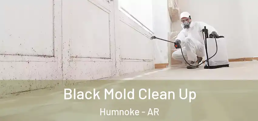  Black Mold Clean Up Humnoke - AR