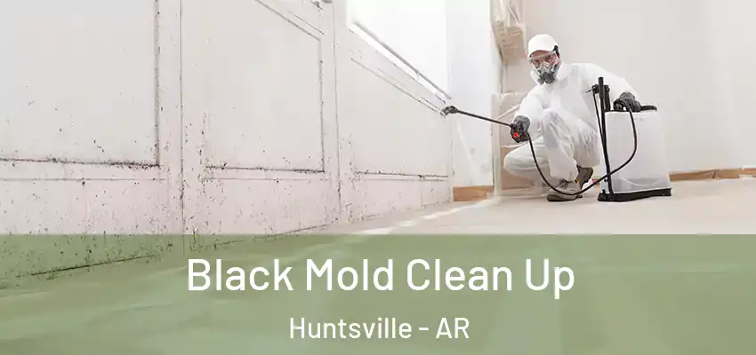  Black Mold Clean Up Huntsville - AR