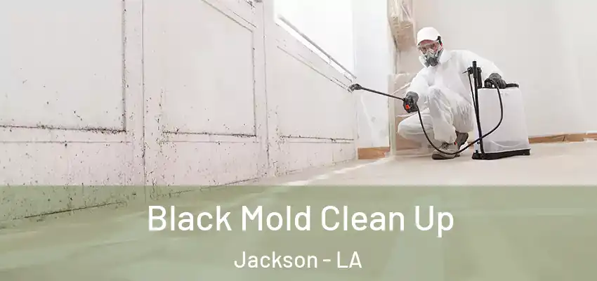  Black Mold Clean Up Jackson - LA