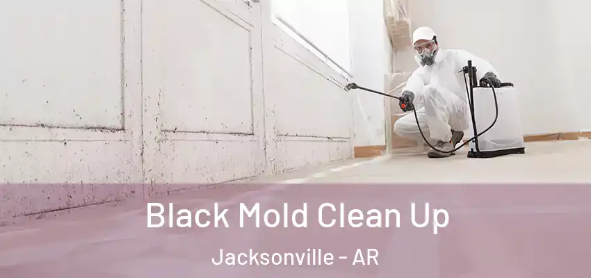  Black Mold Clean Up Jacksonville - AR