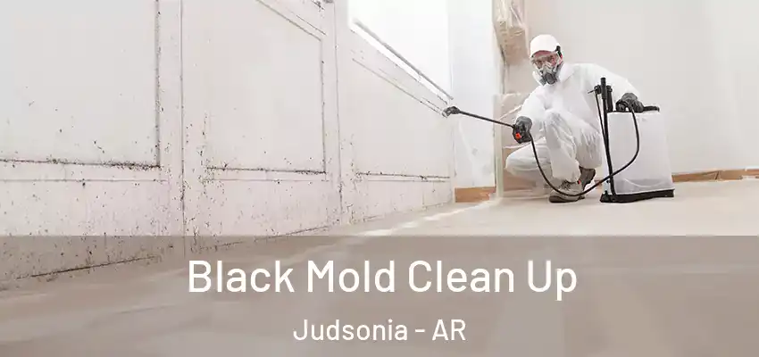  Black Mold Clean Up Judsonia - AR