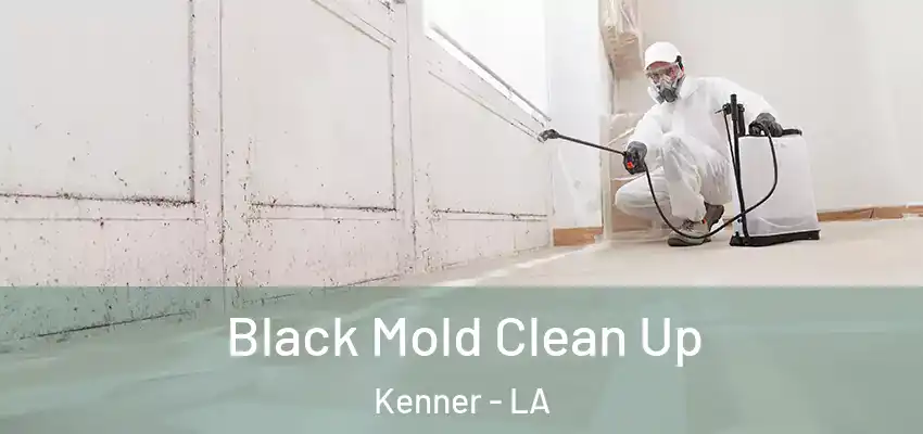  Black Mold Clean Up Kenner - LA