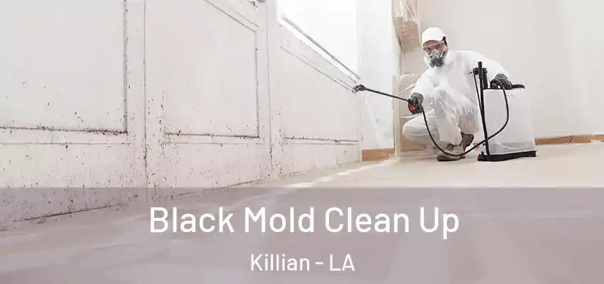  Black Mold Clean Up Killian - LA