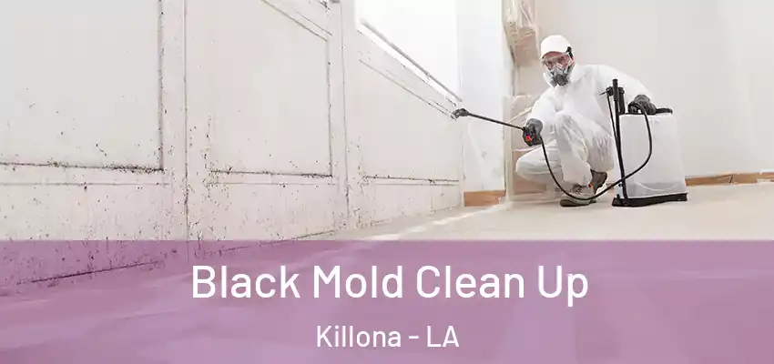  Black Mold Clean Up Killona - LA