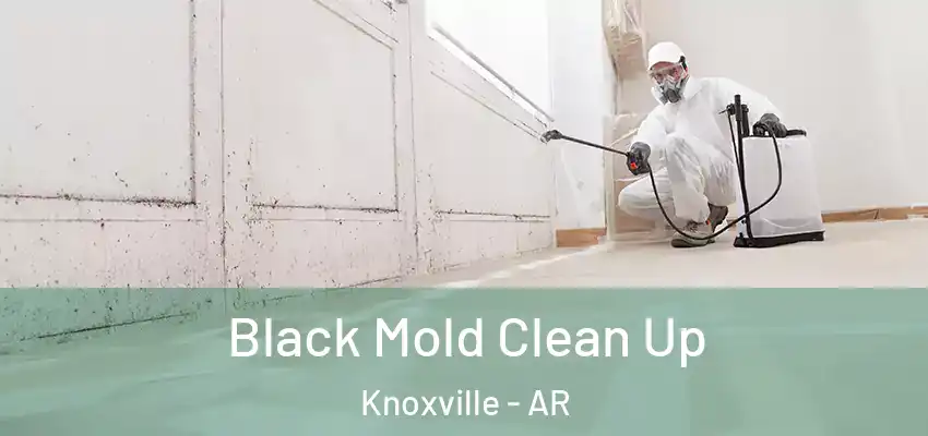  Black Mold Clean Up Knoxville - AR