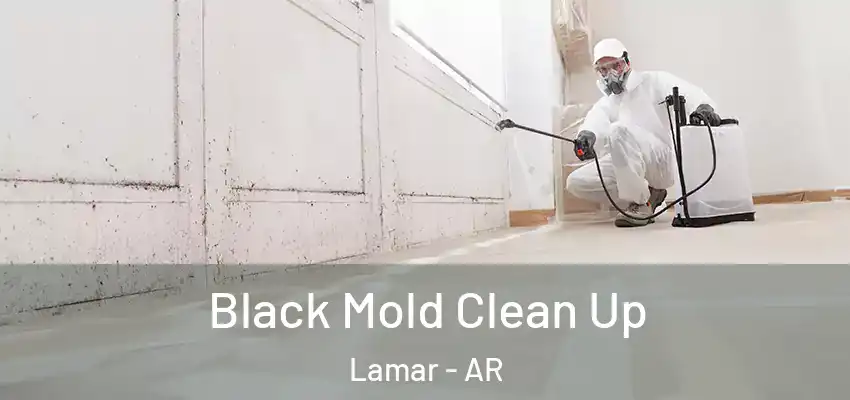  Black Mold Clean Up Lamar - AR