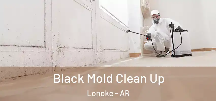  Black Mold Clean Up Lonoke - AR