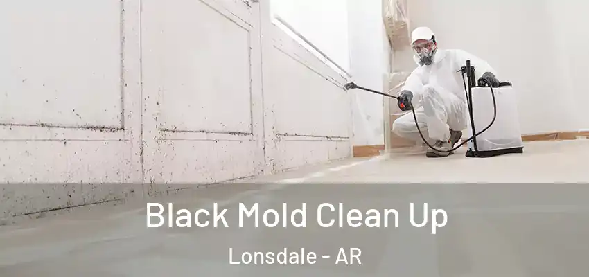  Black Mold Clean Up Lonsdale - AR
