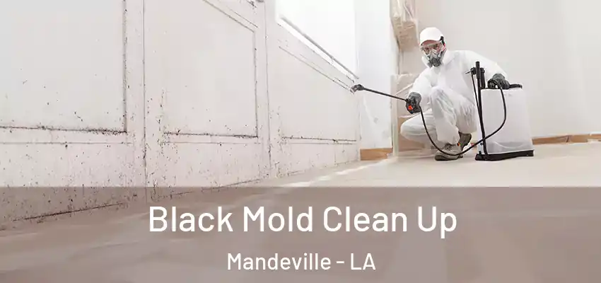 Black Mold Clean Up Mandeville - LA