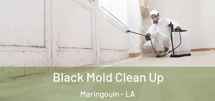  Black Mold Clean Up Maringouin - LA
