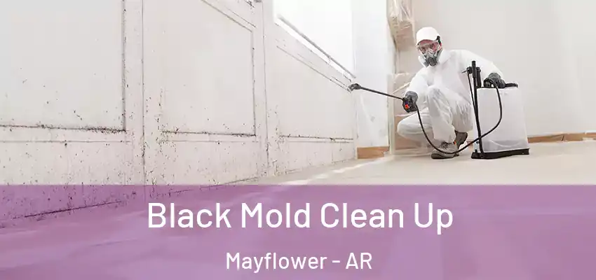  Black Mold Clean Up Mayflower - AR