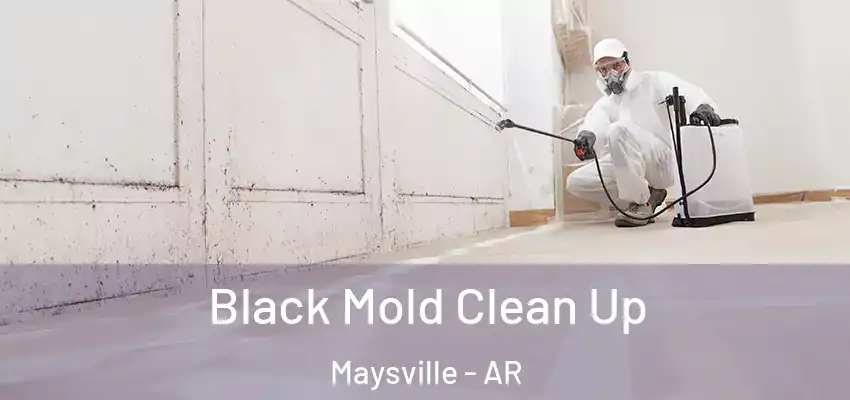 Black Mold Clean Up Maysville - AR