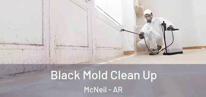  Black Mold Clean Up McNeil - AR