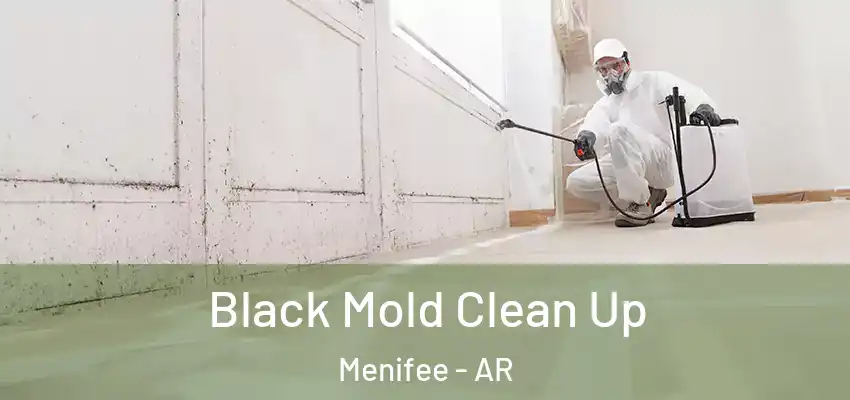  Black Mold Clean Up Menifee - AR