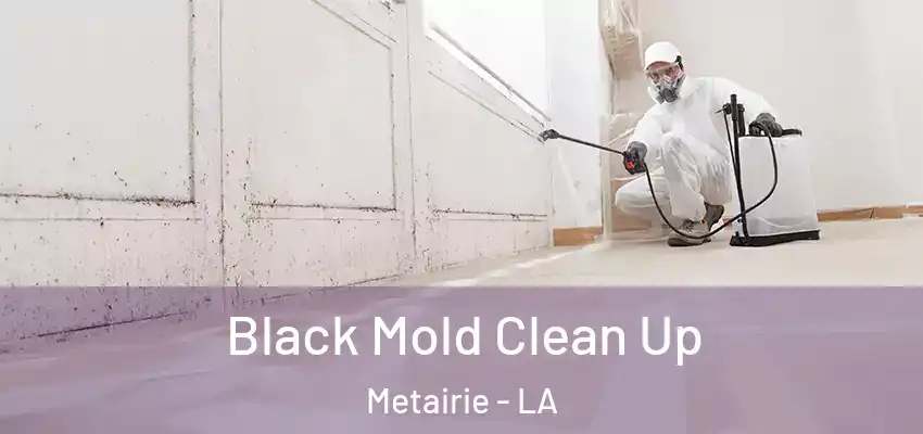  Black Mold Clean Up Metairie - LA