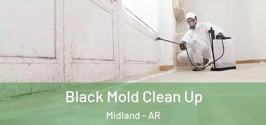  Black Mold Clean Up Midland - AR