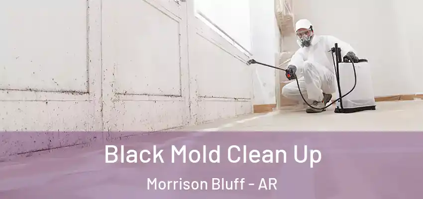  Black Mold Clean Up Morrison Bluff - AR
