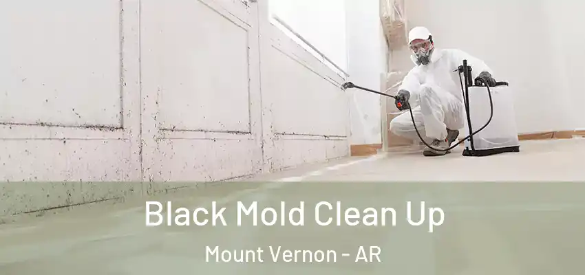  Black Mold Clean Up Mount Vernon - AR