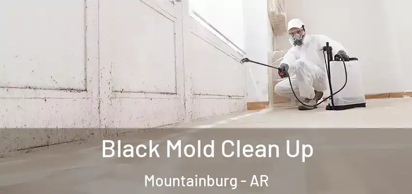 Black Mold Clean Up Mountainburg - AR