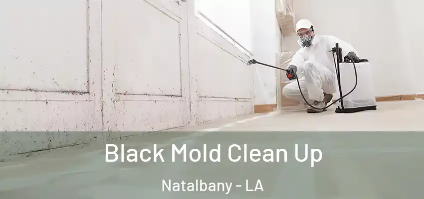  Black Mold Clean Up Natalbany - LA