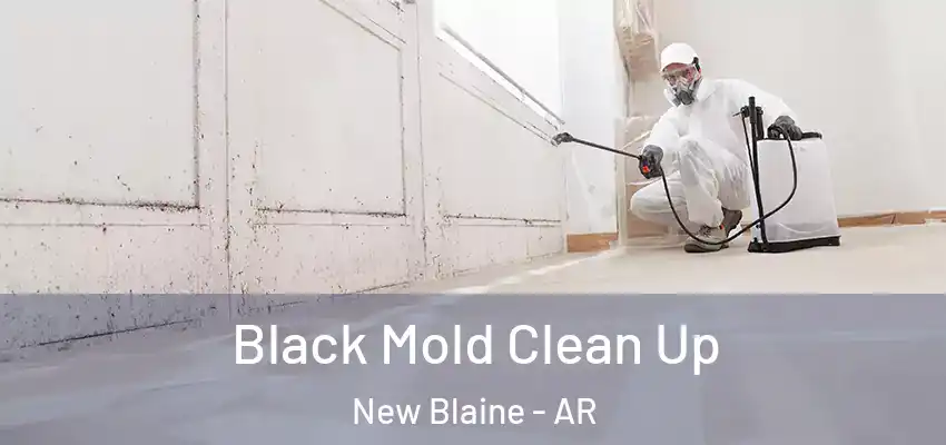  Black Mold Clean Up New Blaine - AR