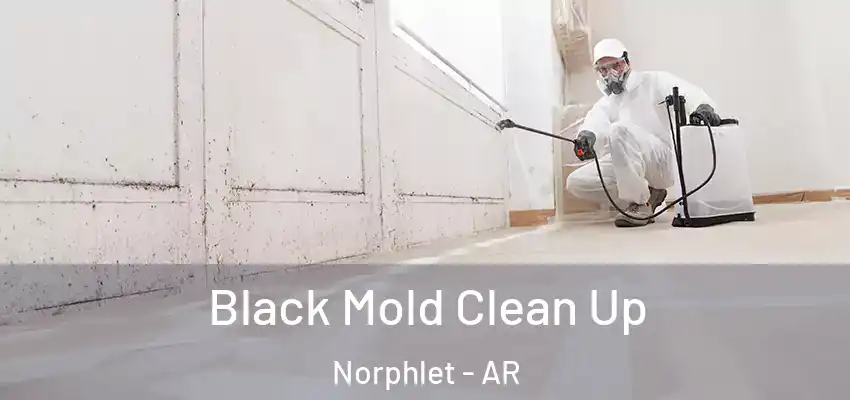  Black Mold Clean Up Norphlet - AR