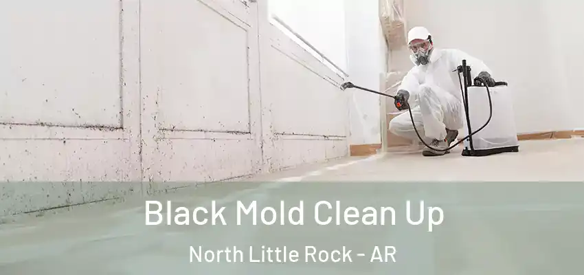  Black Mold Clean Up North Little Rock - AR