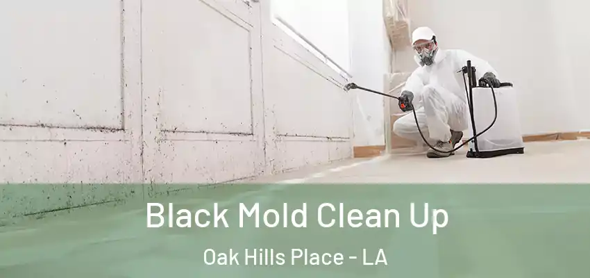  Black Mold Clean Up Oak Hills Place - LA