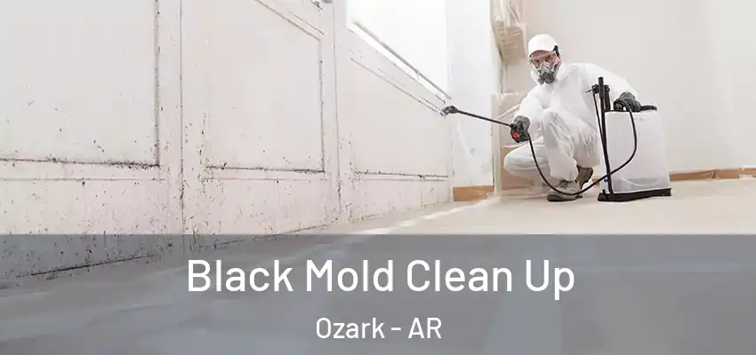 Black Mold Clean Up Ozark - AR