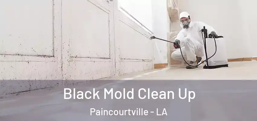  Black Mold Clean Up Paincourtville - LA