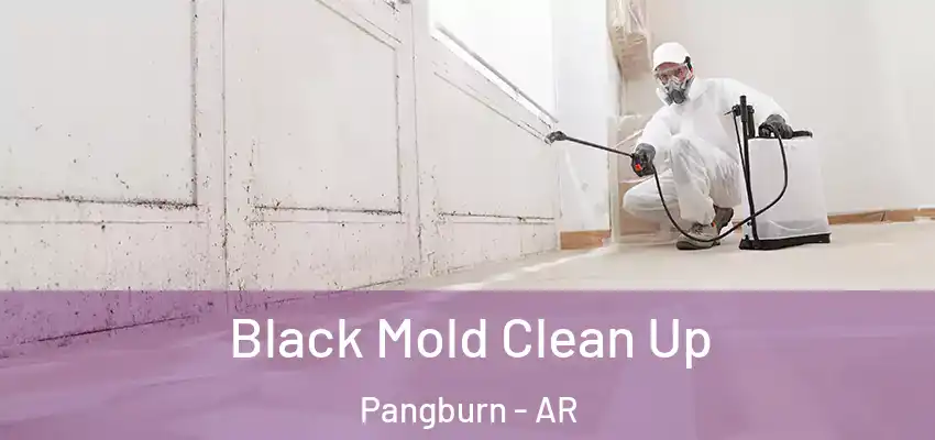  Black Mold Clean Up Pangburn - AR