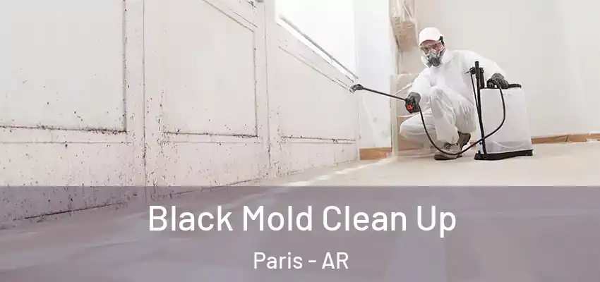  Black Mold Clean Up Paris - AR