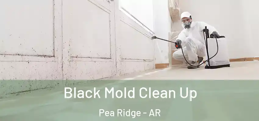  Black Mold Clean Up Pea Ridge - AR