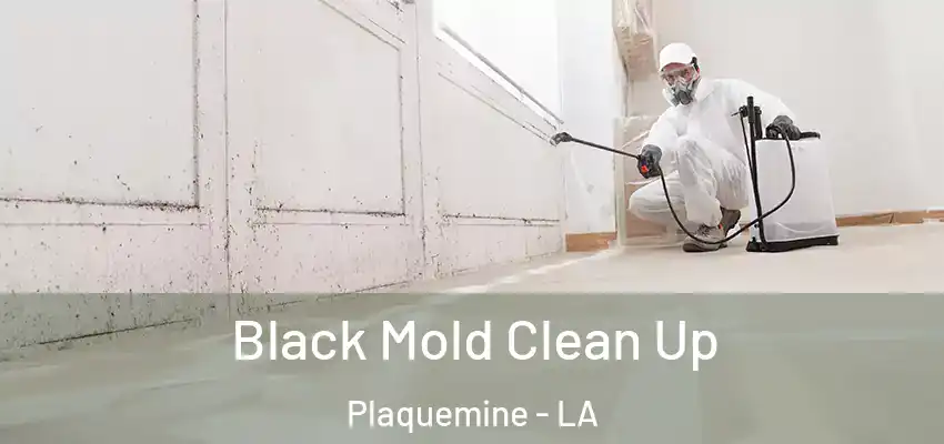  Black Mold Clean Up Plaquemine - LA
