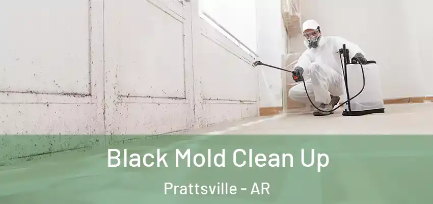 Black Mold Clean Up Prattsville - AR