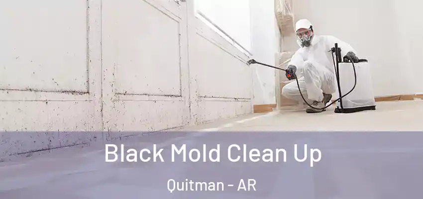 Black Mold Clean Up Quitman - AR