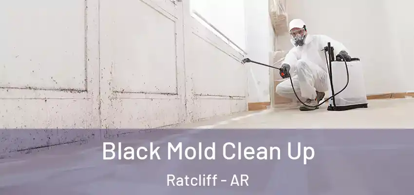  Black Mold Clean Up Ratcliff - AR