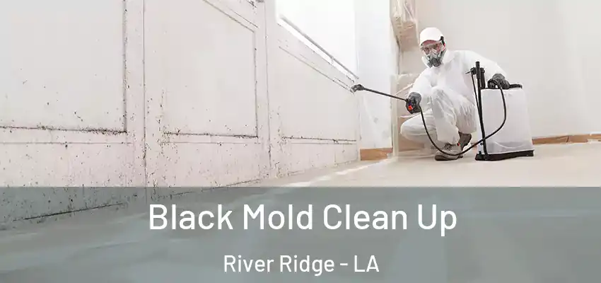  Black Mold Clean Up River Ridge - LA