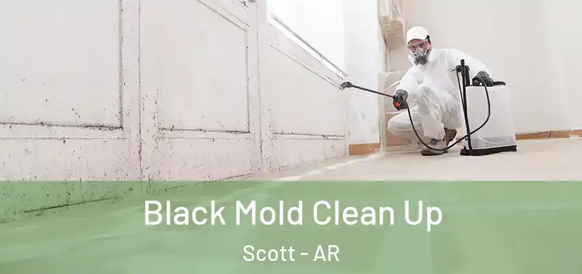  Black Mold Clean Up Scott - AR